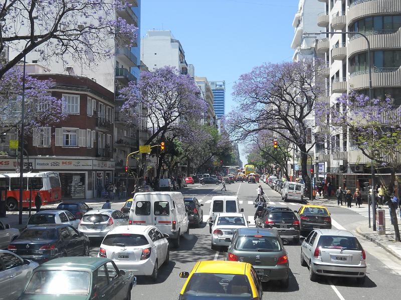 DSCN5638.JPG
