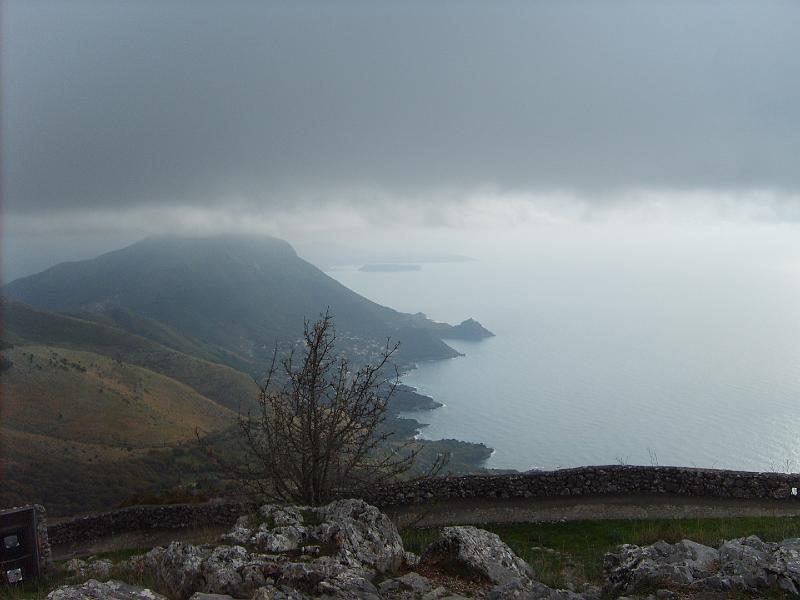 S5007803.JPG