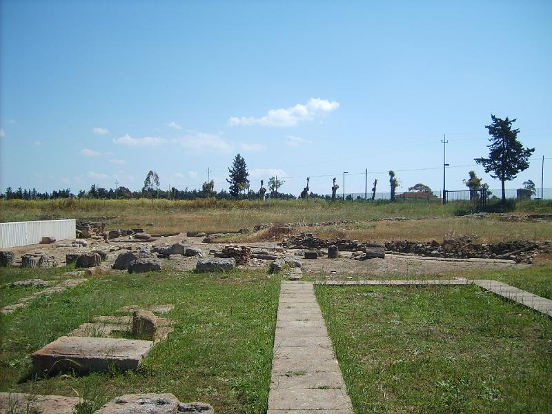 S5000340.JPG