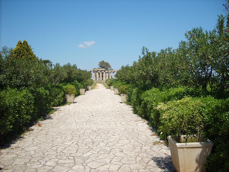 S5000345.JPG
