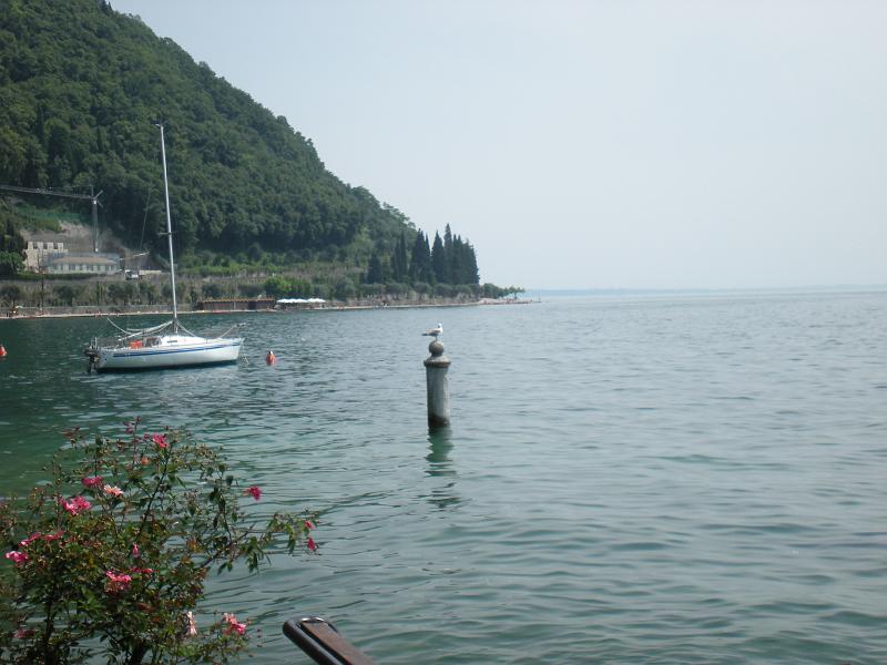DSCN0038.JPG